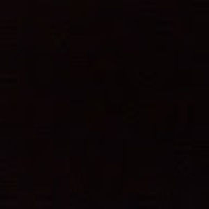 Meet your Posher, Lamont